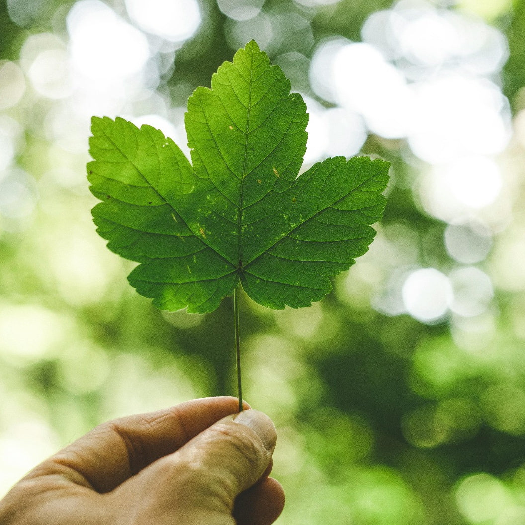 The science confirms that glutamine is not carcinogenic. So why the confusion?