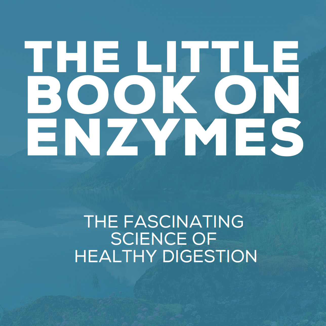 eBook: The Little Book on Enzymes