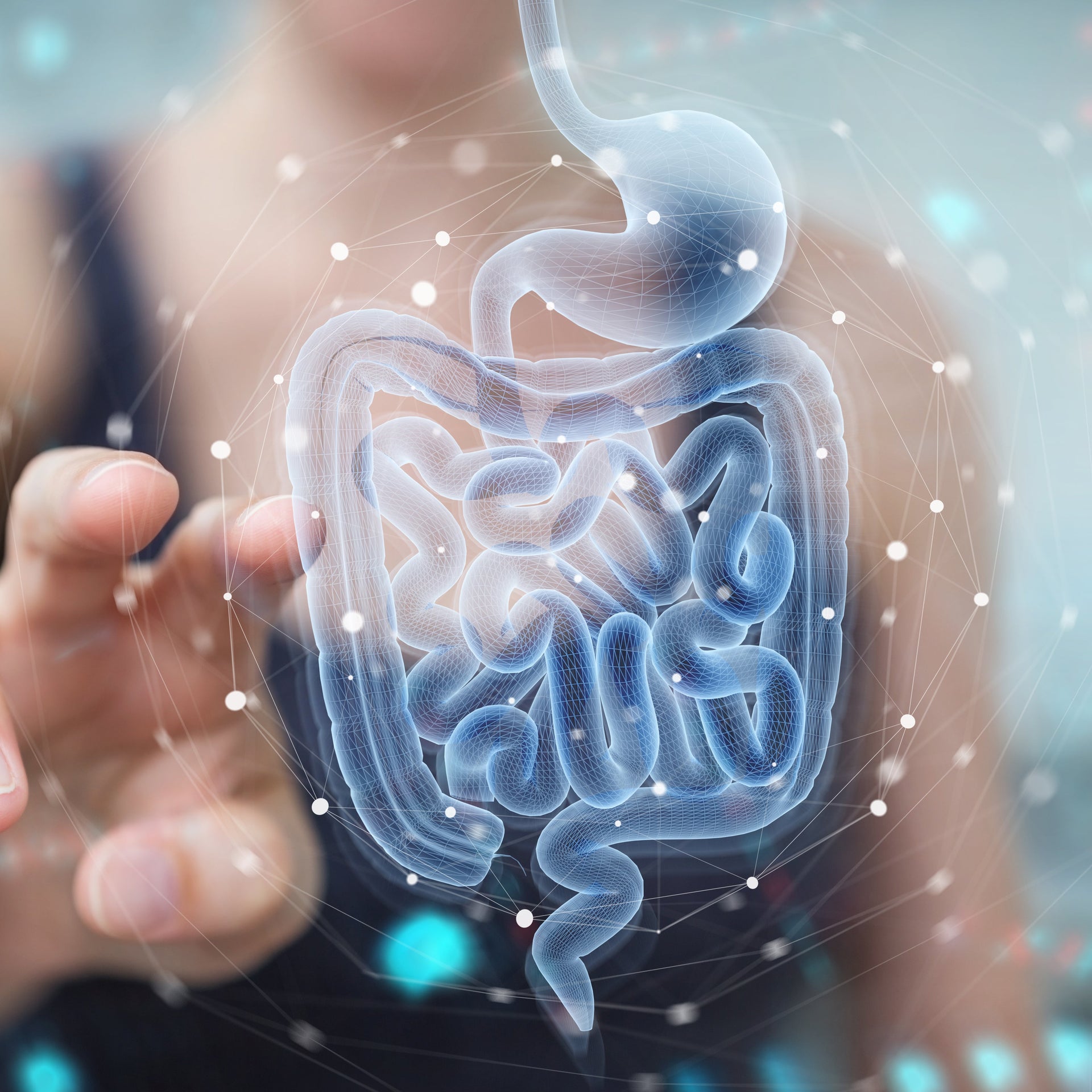 Digital illustration of human digestive system with finger pointing.