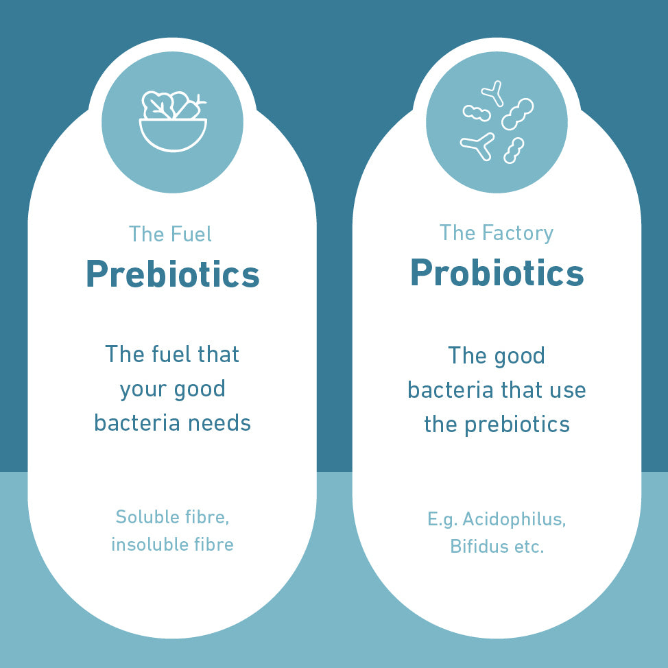 Why we focus on prebiotics. And why we don't produce a probiotic. Yet!